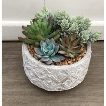 Planta Suculenta Artificial
