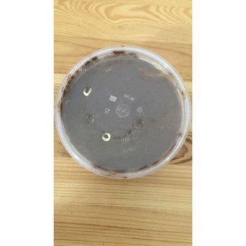 Creme de Gianduia  com bolacha Crocante - 500g
