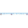 Banner Happy Birthday - Frozen Wind spirit