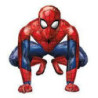 Stting Homem aranha (38x38)cm