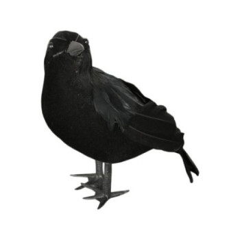 Corvo Preto 20cm