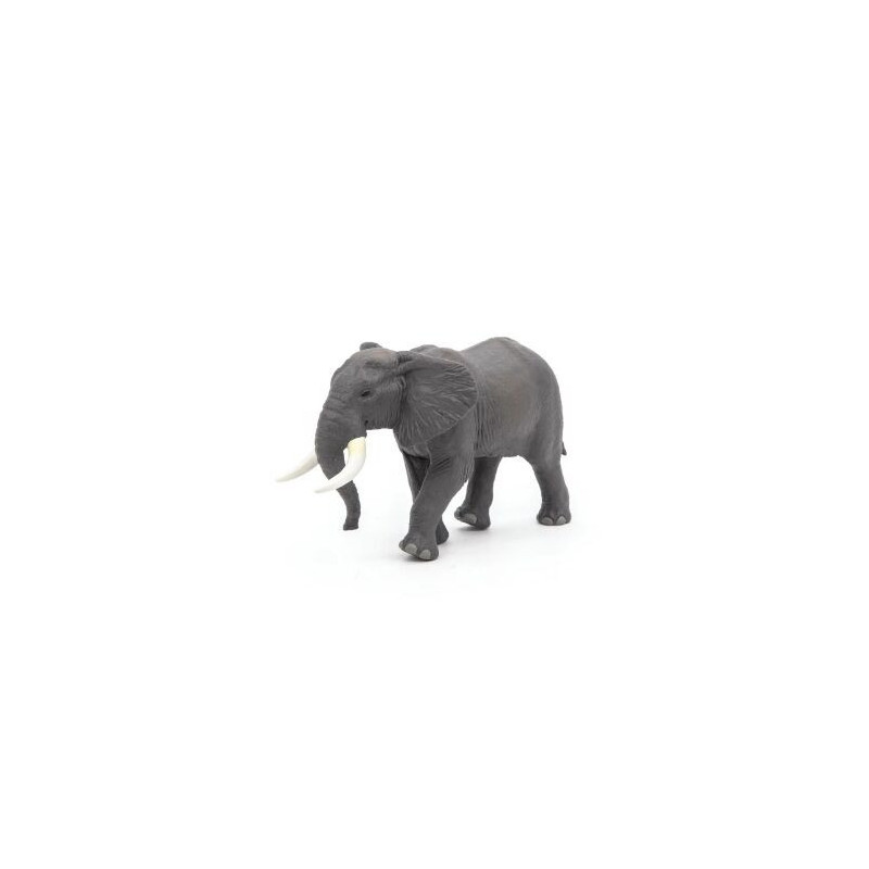 Elefante Africano