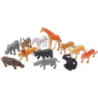 12 Animais da Selva