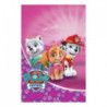 8 sacos prenda Paw Patrol rosa