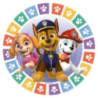 8 pratos 18 cm Paw Patrol