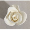 Rosa branca tamanho peq