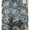 Flores para brigadeiros verde louro - 12 unidades