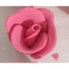Rosa de açucar rosa S