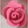 Rosa de açucar rosa M