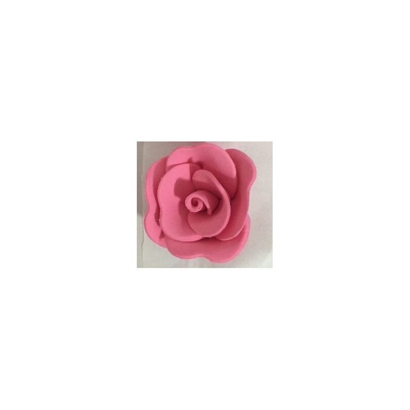 Rosa de açucar rosa L