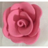Rosa de açucar rosa L