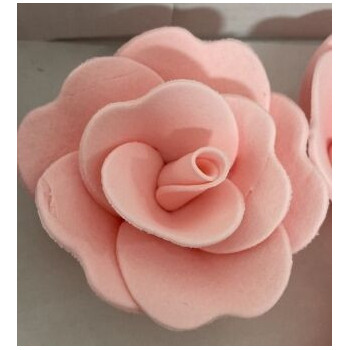 Rosa de açucar rosa XL