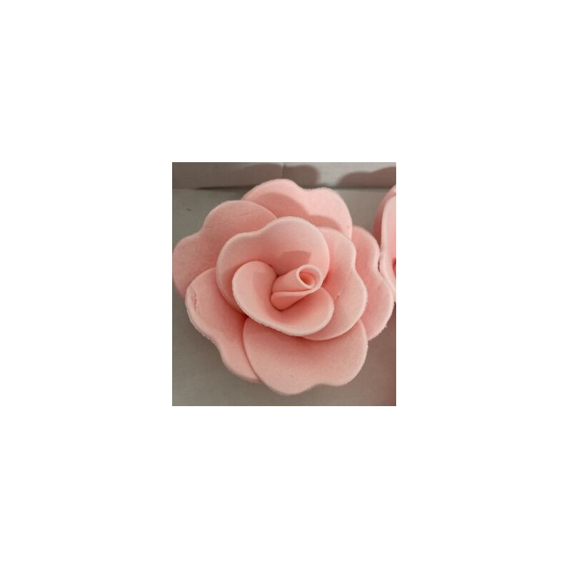 Rosa de açucar rosa XL