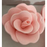 Rosa de açucar rosa XL
