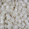 Flocos de Neve 55g