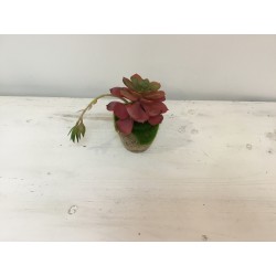 Vaso com flor (aluguer)