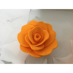 Rosa Bouquet